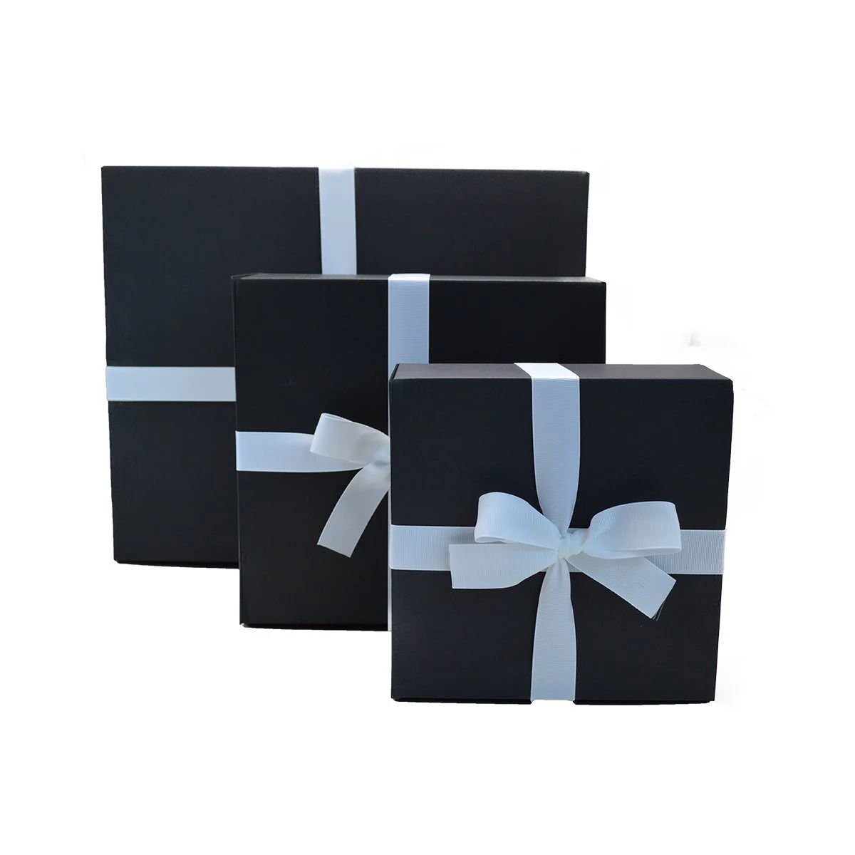 Saphir Starter Kit - Image 2
