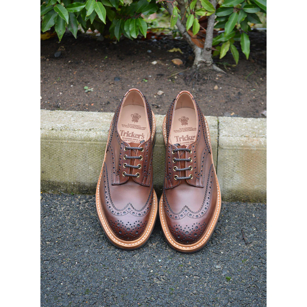 Trickers Bourton - Chestnut - Image 10
