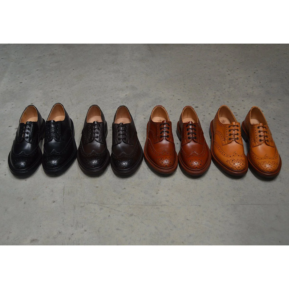 Trickers Bourton Country Shoe | Derby Brogues (Black) - Image 12