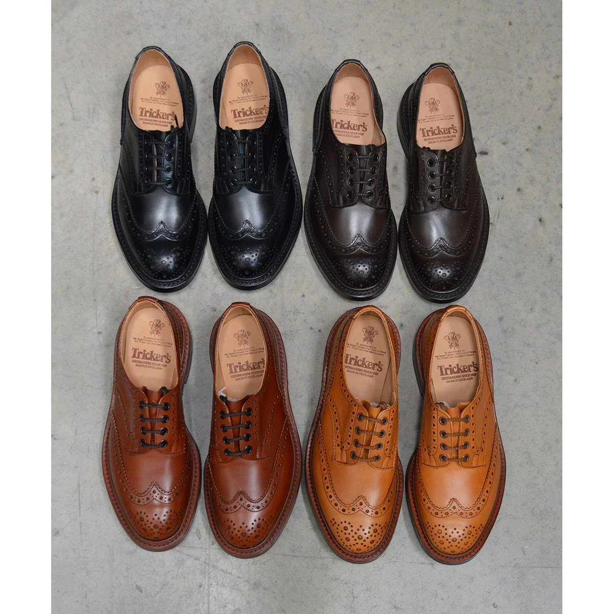 Trickers Bourton Country Shoe | Derby Brogues (Black) - Image 13
