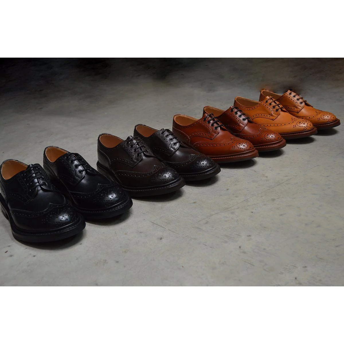 Trickers Bourton Country Shoe | Derby Brogues (Black) - Image 14