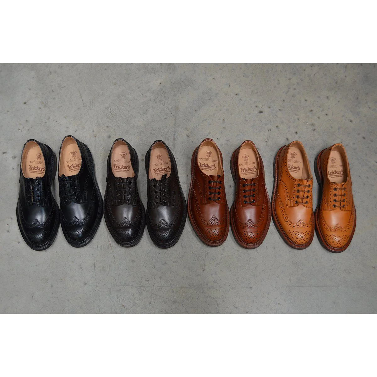 Trickers Bourton Country Shoe | Derby Brogues (Black) - Image 15